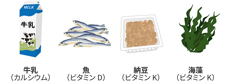 牛乳(カルシウム)、魚(ビタミンD)、納豆(ビタミンK)、海藻(ビタミンK)のイラスト