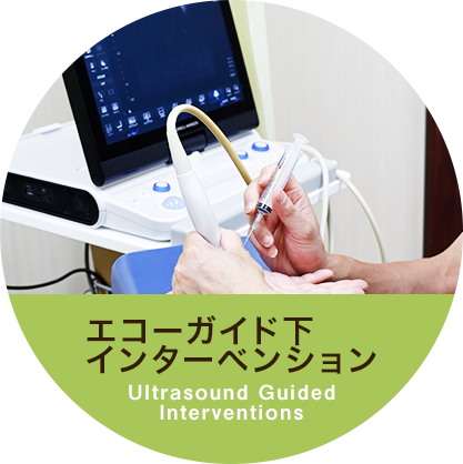 エコーガイド下インターベンション Ultrasound Guided Interventions